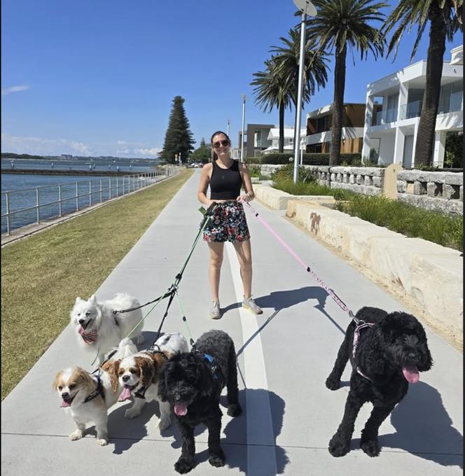 Dog Walking