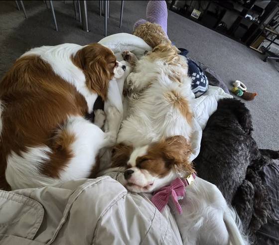 Nap-time pile