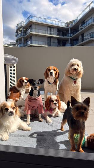 The whole crew