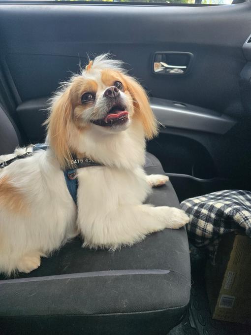 Maggie, Chief Happiness Officer